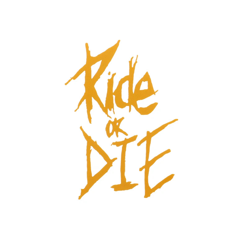 Bike Frame Sticker Ride Or Die Top Tube Sticker Bicycle Decals Decorative Frame Stickers Bike Stickers Bike Decal 1pc